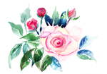 时尚水彩手绘花朵花卉