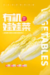 娃娃菜