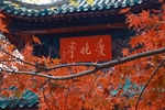 枫叶-爱晚亭