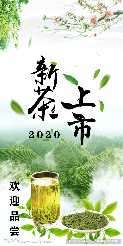 新茶上市写真