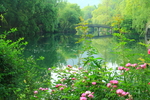 春景