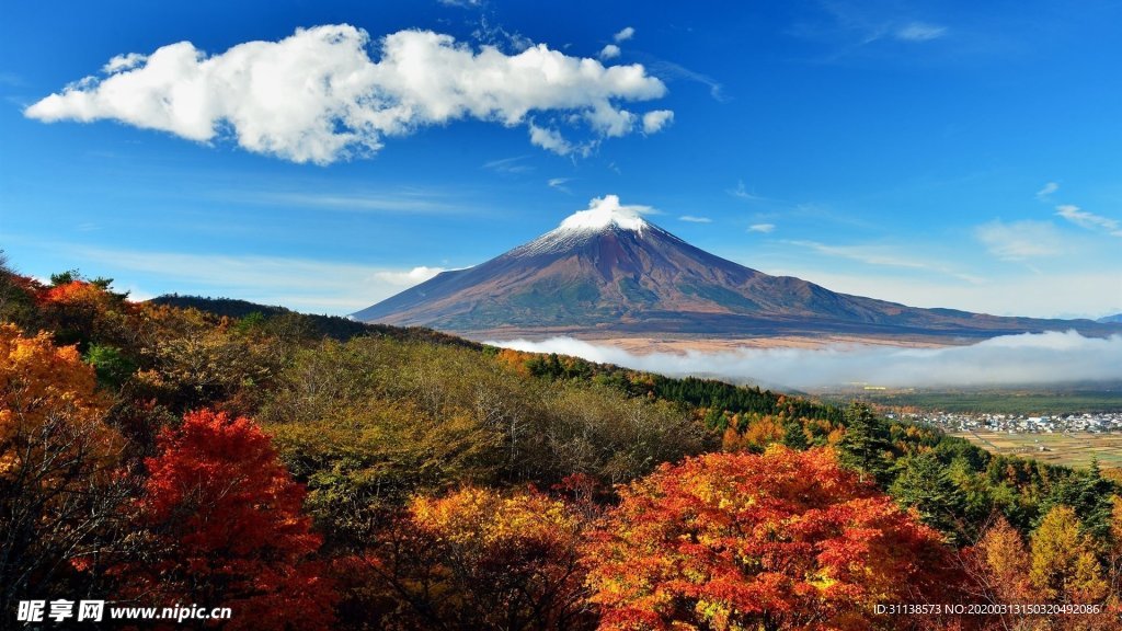 山