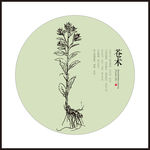 苍术