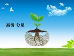创意树 苗根须 蓝天白云