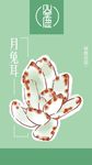 手绘多肉
