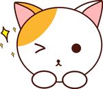 小清新动物可爱眨眼猫