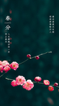 二十四节气春分启动引导页
