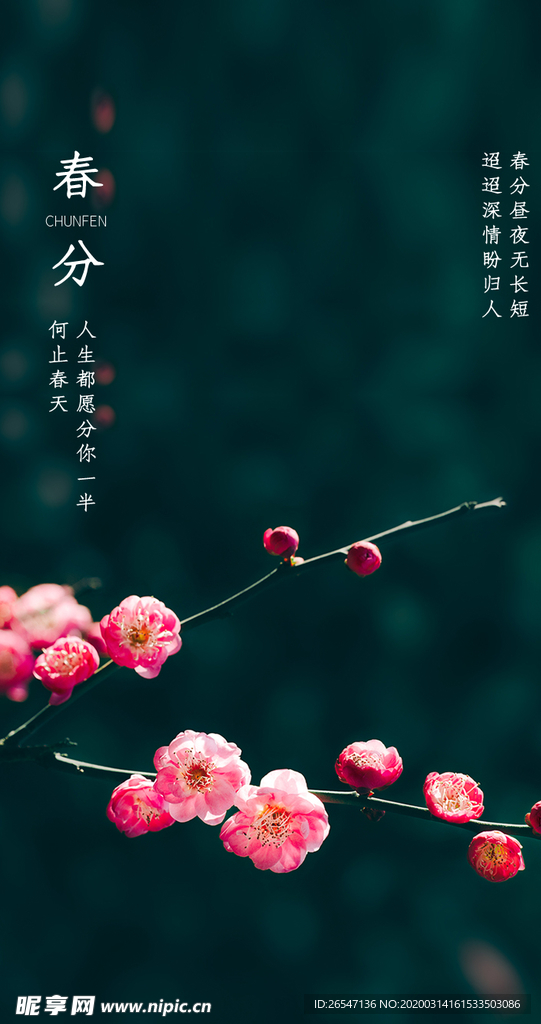 二十四节气春分启动引导页