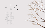 新中式背景墙
