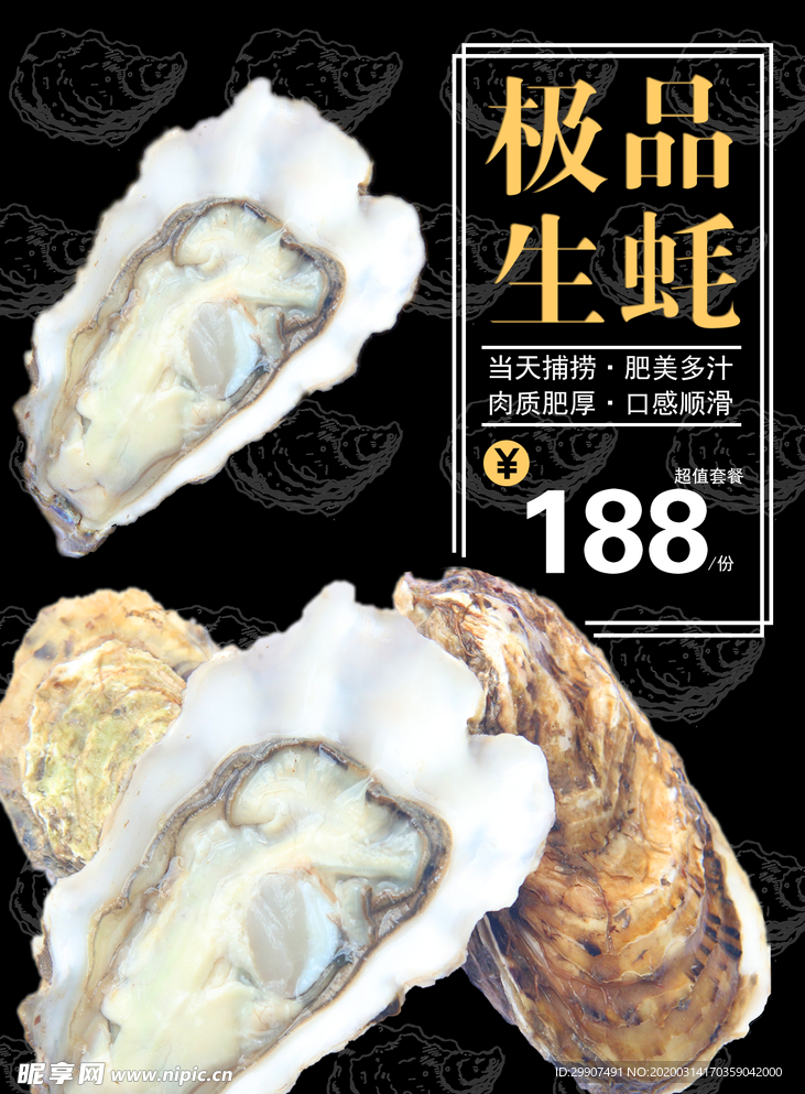 极品生蚝 生蚝海报