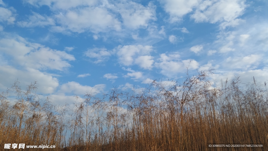 天空素材