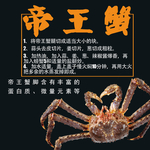 帝王蟹