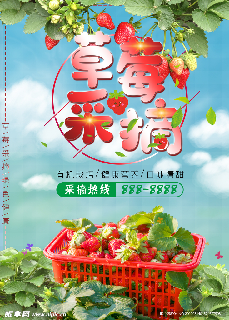 草莓