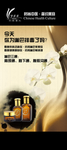 美容 美体 身体