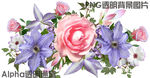 玫瑰花