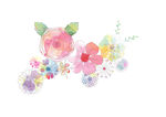 花朵插图