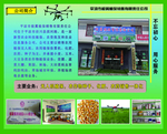植保公司简介