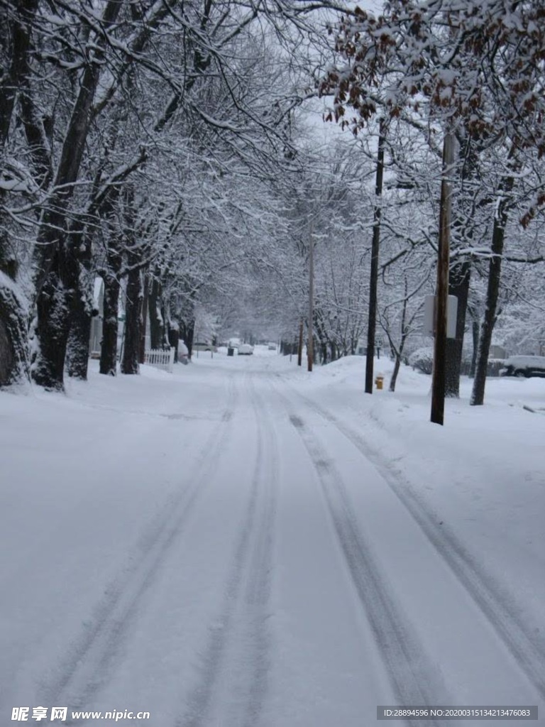 雪 街道 冬天