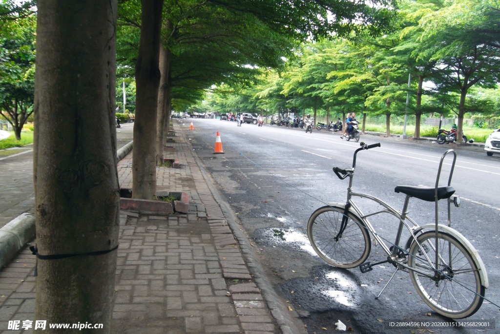 自行车花园 绿色环境树 巴厘岛