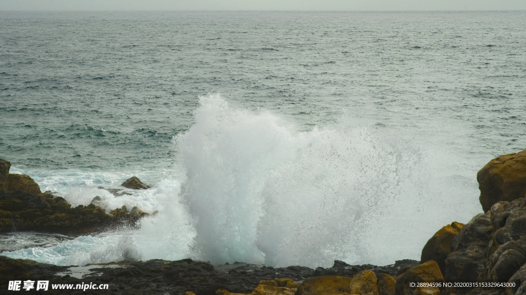 海洋