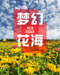 梦幻花海