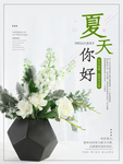 夏天你好
