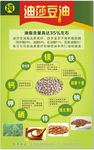 油莎豆油