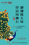 孔雀 地产海报