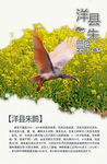 朱鹮简介
