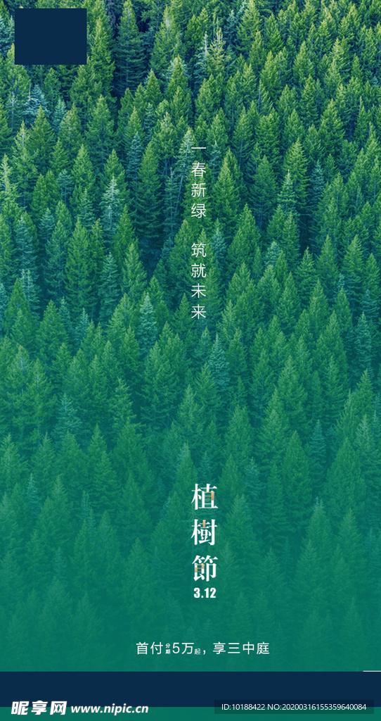 植树节