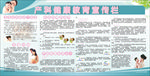 产科健康教育宣传栏