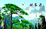 迎客松
