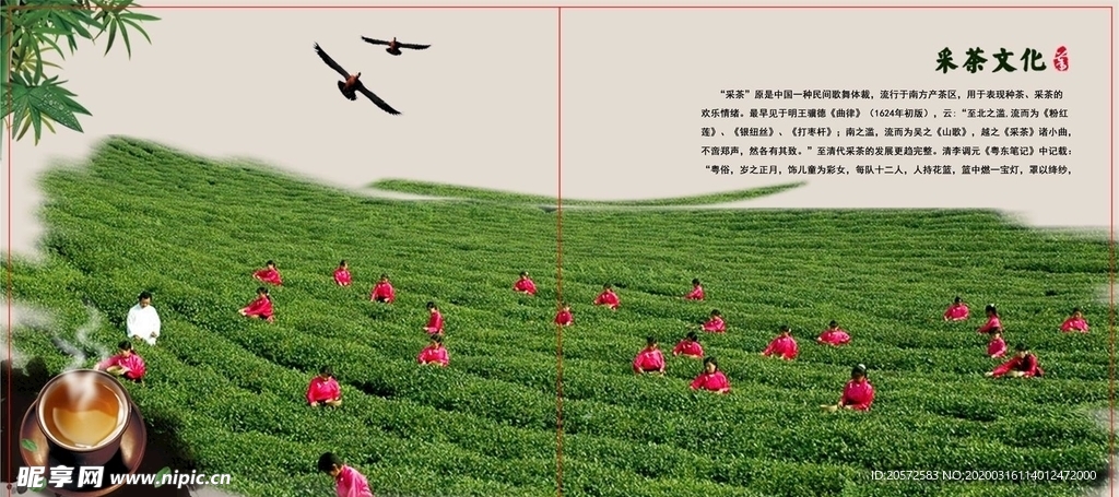 茶画册
