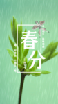 植物背景