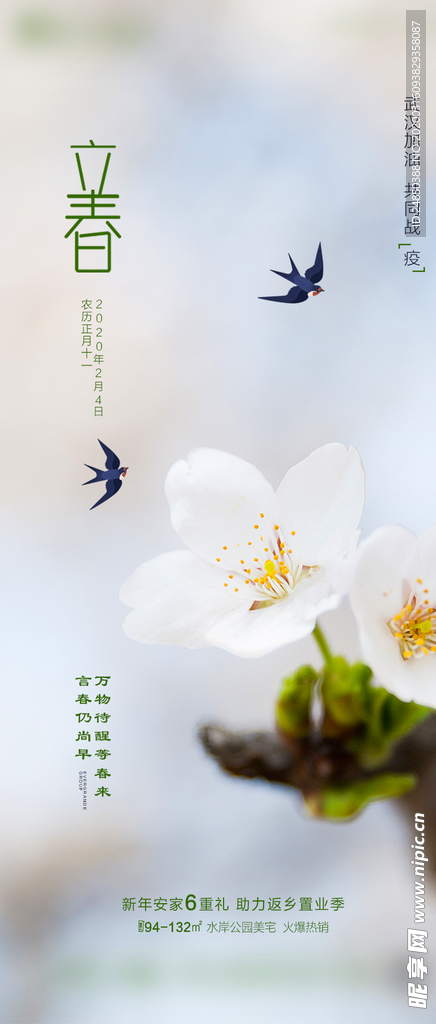 地产  立春 节气