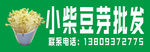 豆芽批发