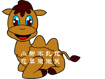 骆驼