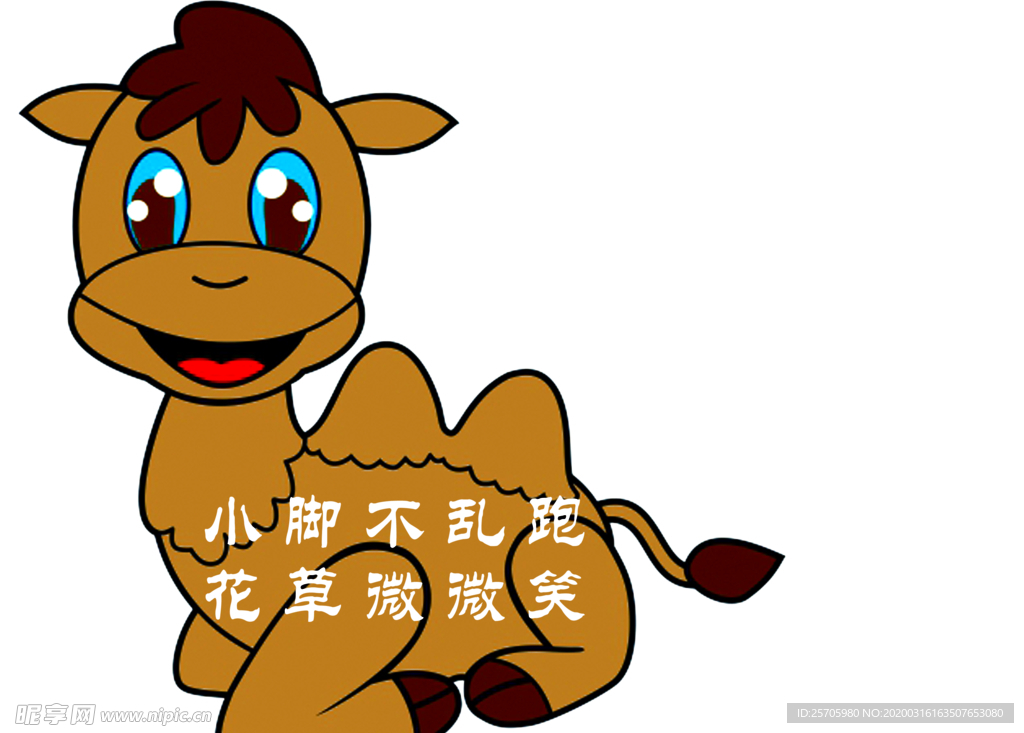 骆驼