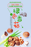 香菇