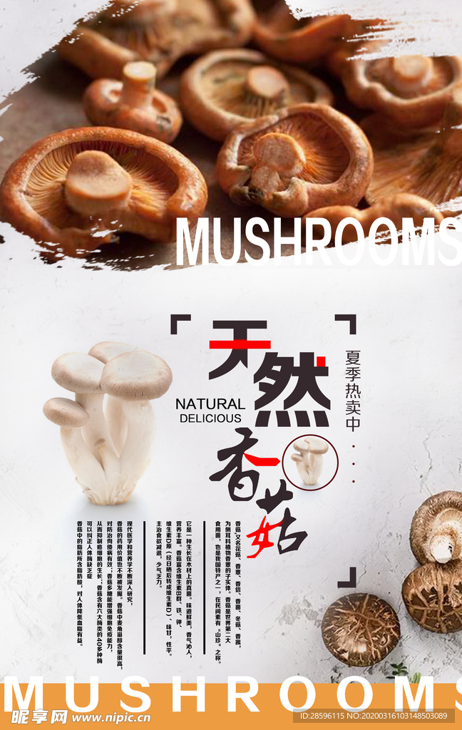 香菇