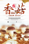 香菇