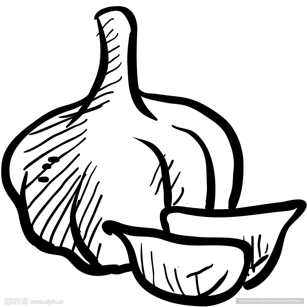 手绘大蒜