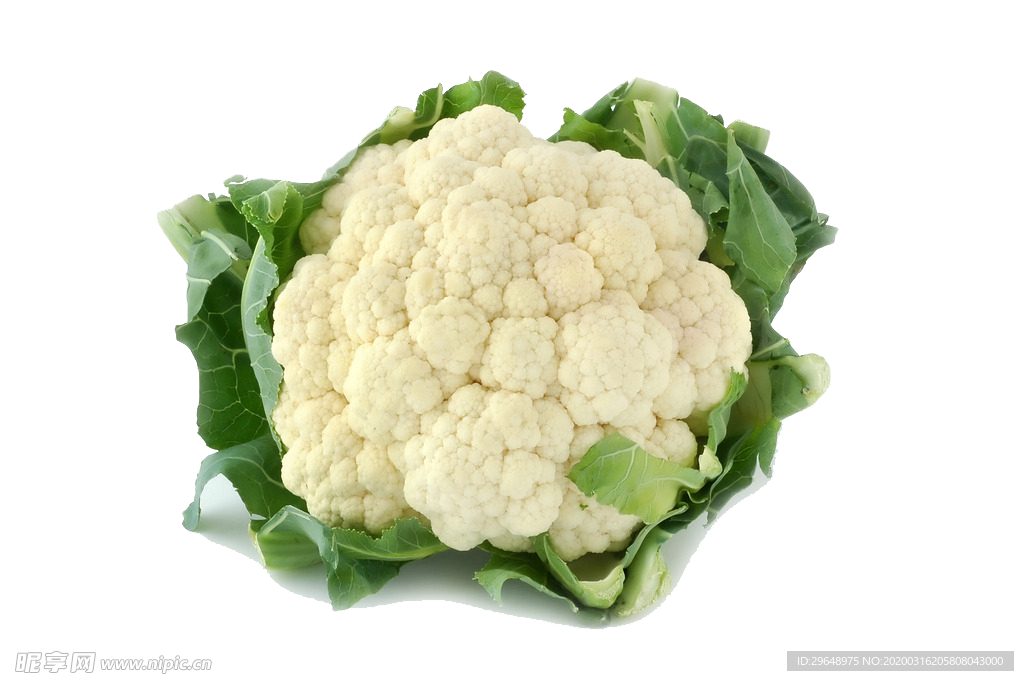 花菜 花椰菜 有机花菜 新鲜花