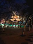 夜景