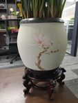 花盆