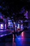 夜景马路