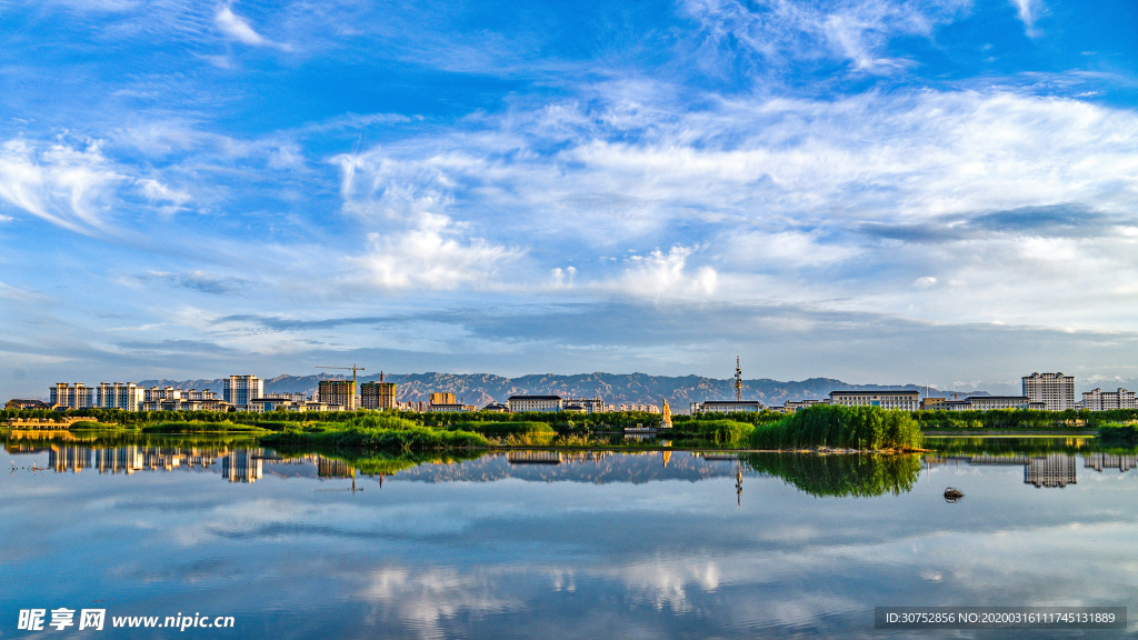 湿地风景