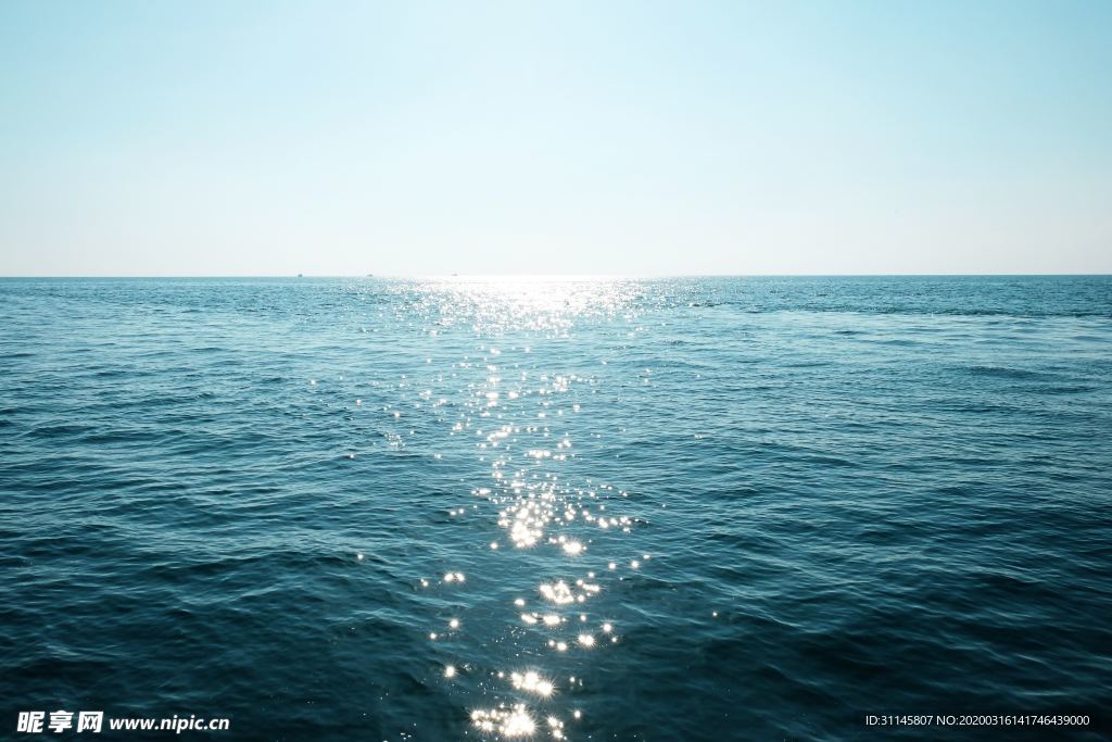 大海