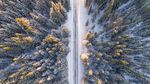 俯视森林雪景