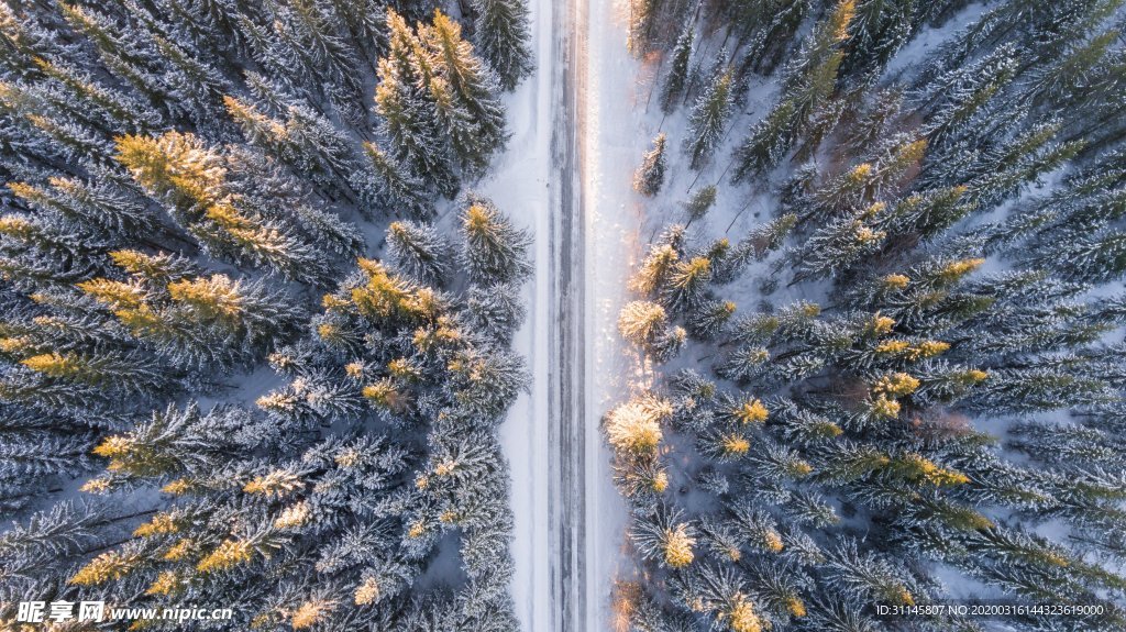 俯视森林雪景